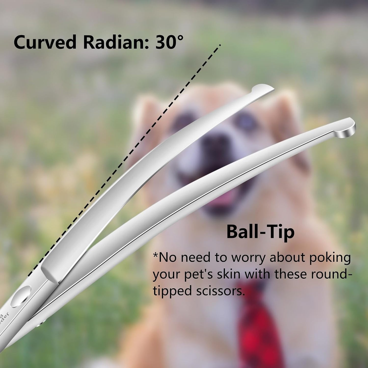 Dog Scissors for Grooming, Curved Dog Grooming Scissors with Safety round Tips, 6.5 Inch, Curved Blade, Light Weight, No Stabbing with Blunt Tip.