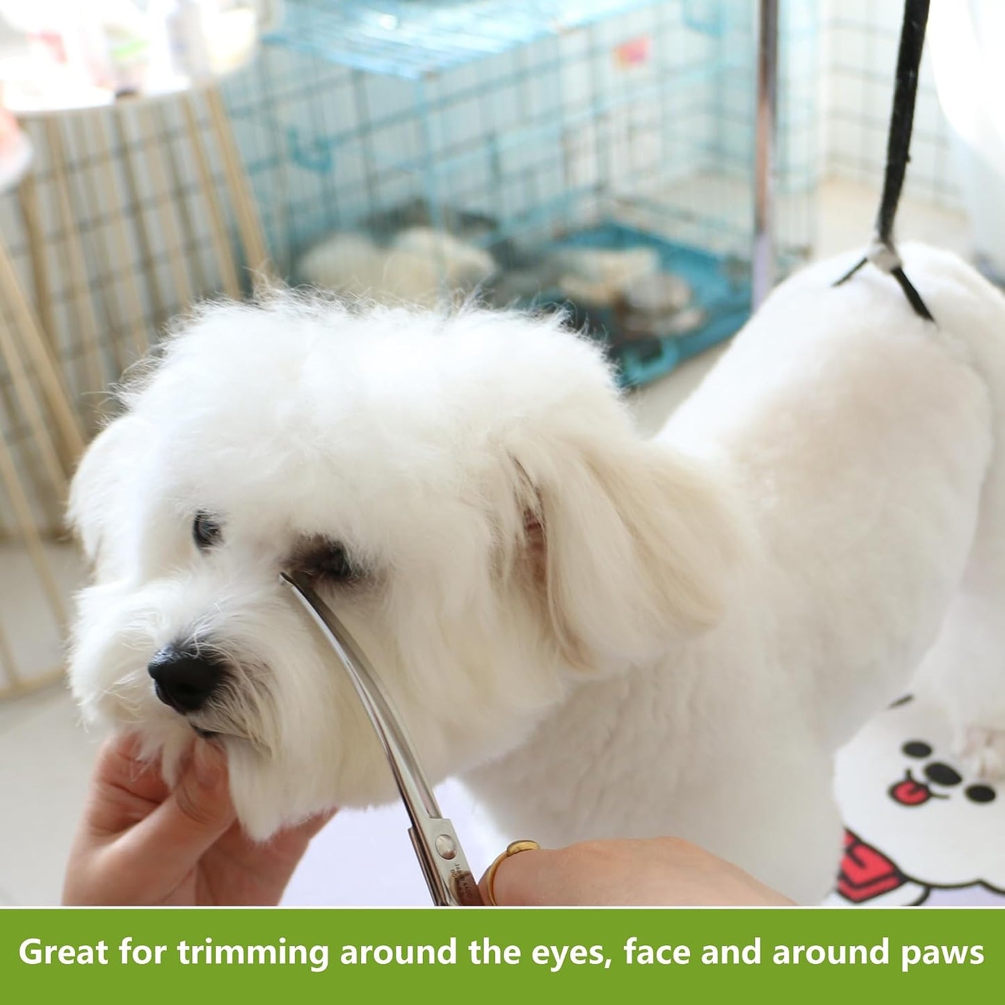 Dog Scissors for Grooming, Curved Dog Grooming Scissors with Safety round Tips, 6.5 Inch, Curved Blade, Light Weight, No Stabbing with Blunt Tip.